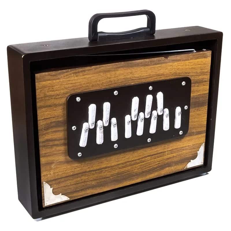 Shruti Box voor Spirituele Muziekbegeleiding