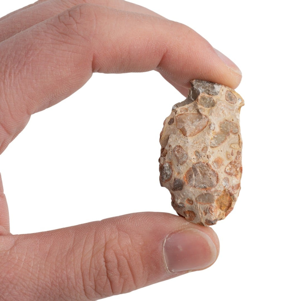 Ruwe Edelsteen Kalkooliet / Leopardiet – 1000 gram