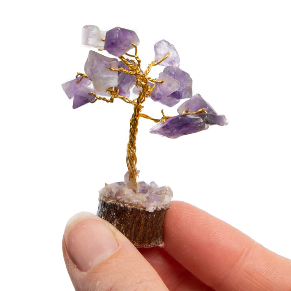 Edelsteenboom Set van 12 in Doos (6 cm)
