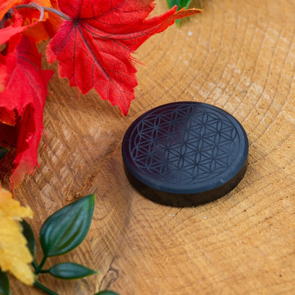 Shungiet Zaksteen met Flower of Life (50 mm)
