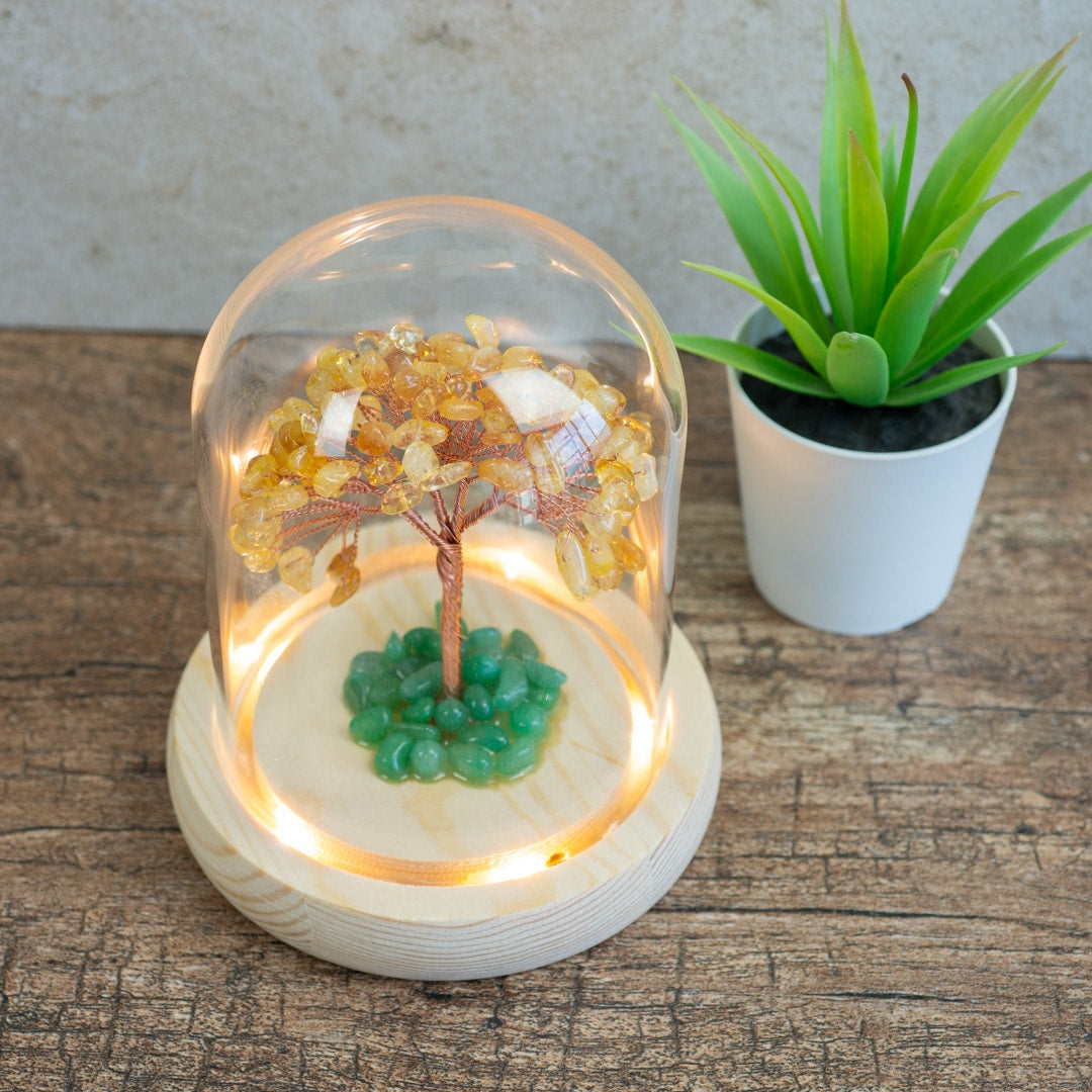 Edelsteen Boompje Zelfvertrouwen Citrien met Groene Aventurijn in Glas (14 cm)