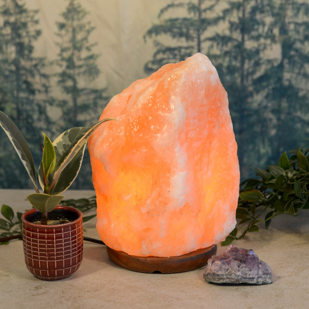 Himalaya Zoutlamp Roze – 7-9 KG
