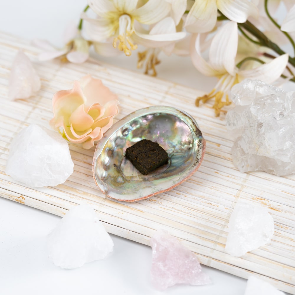 Abalone Schelp – Klein – 50 tot 70 mm