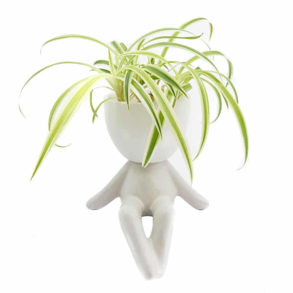 Bloempot Mannetje Zittend Wit