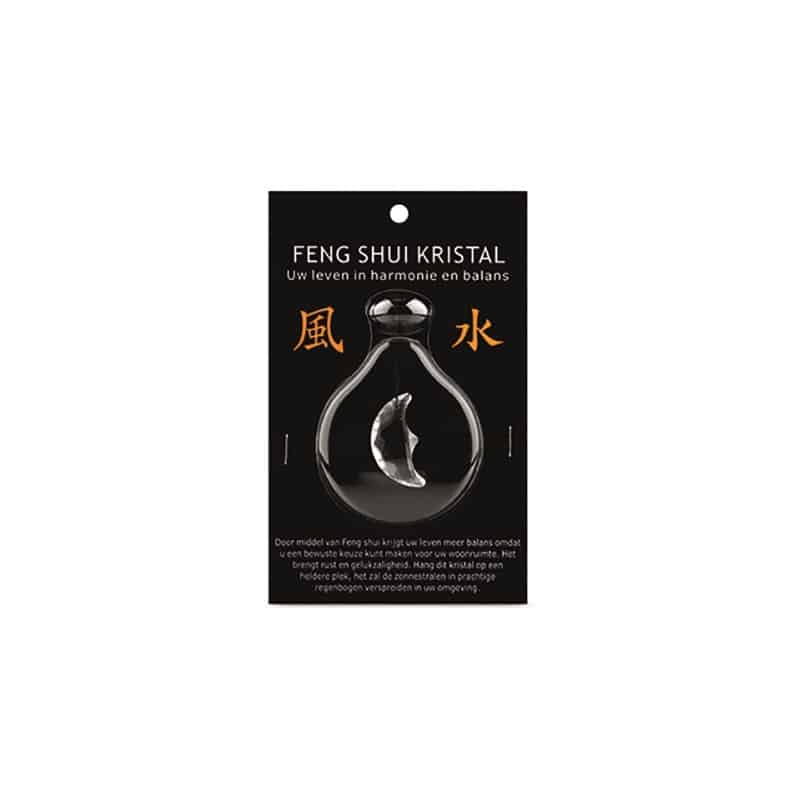 Raamhanger Feng Shui – Maan