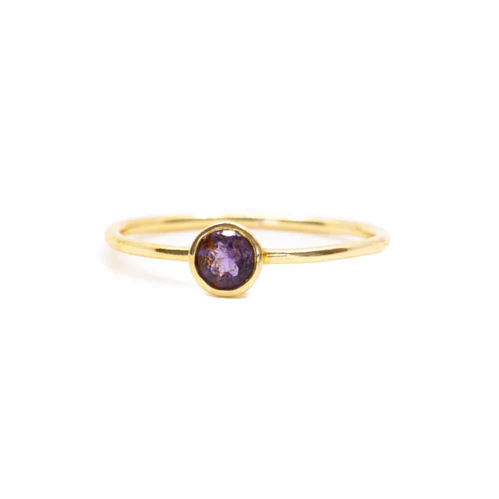 Geboortesteen Ring Amethist Februari – 925 Zilver Verguld (Maat 17)