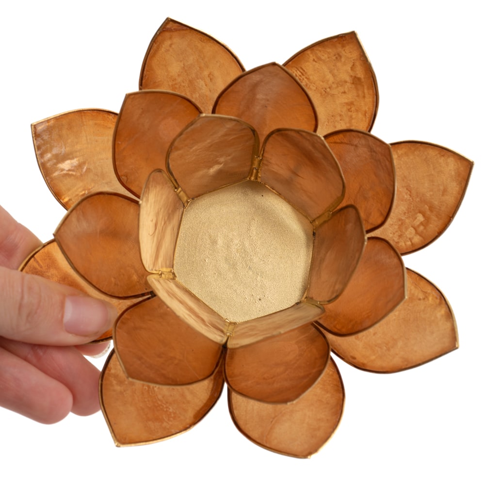 Lotus Sfeerlicht Mocha Goudrand