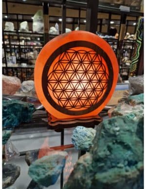 Zoutsteen Lamp Deco Flower of Life Inclusief Kabel en Lampje