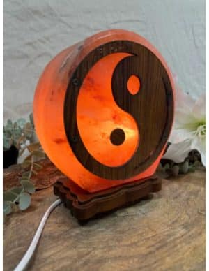 Zoutsteen Yin Yang Lamp Inclusief Kabel en 15 Watt Lampje