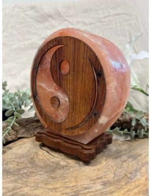 Zoutsteen Yin Yang Lamp Inclusief Kabel en 15 Watt Lampje