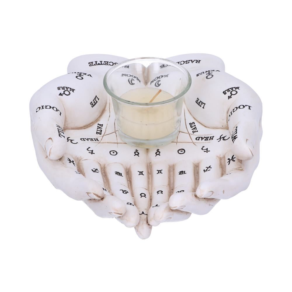 Nemesis Now Kaarshouder Palmlezers Gids Wit (22 x 17 x 5 cm)
