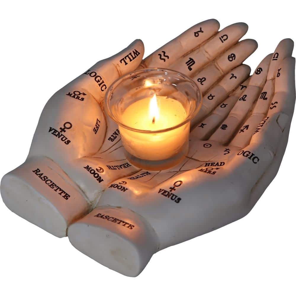Nemesis Now Kaarshouder Palmlezers Gids Wit (22 x 17 x 5 cm)