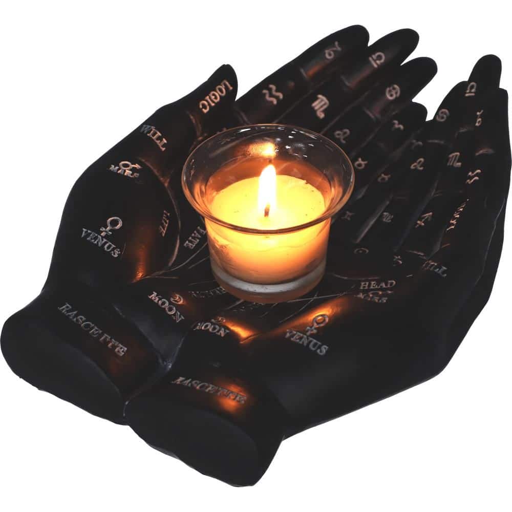 Nemesis Now Kaarshouder Palmlezers Gids (22 x 17 x 5 cm)
